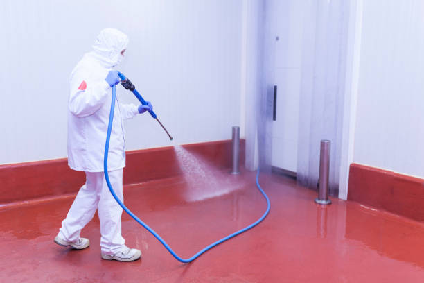 Reliable East Los Angeles, CA Pressure Washing Solutions